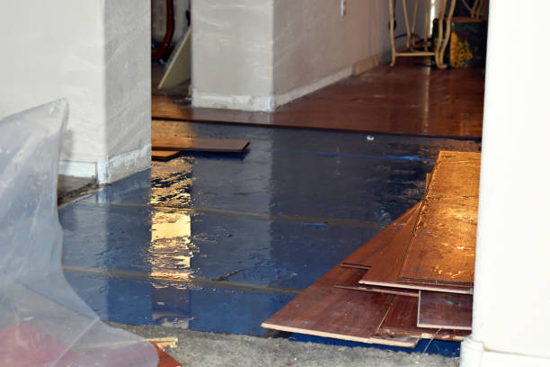 Professional Water Removal technician working in Winn, MI