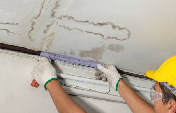 Reliable Water Removal contractor in Winn, MI by Water Damage Irwin